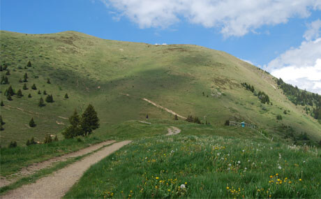 Règlement du trail 